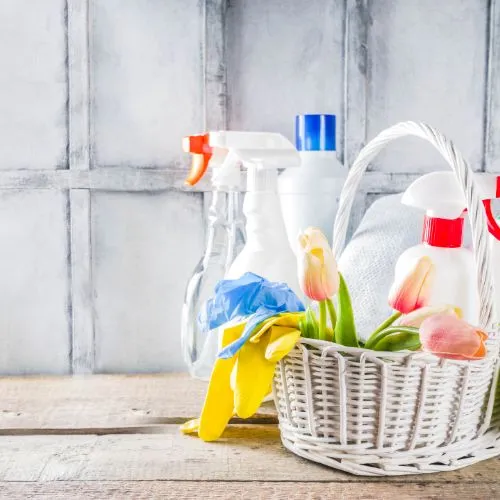 Home Help & Housekeeping